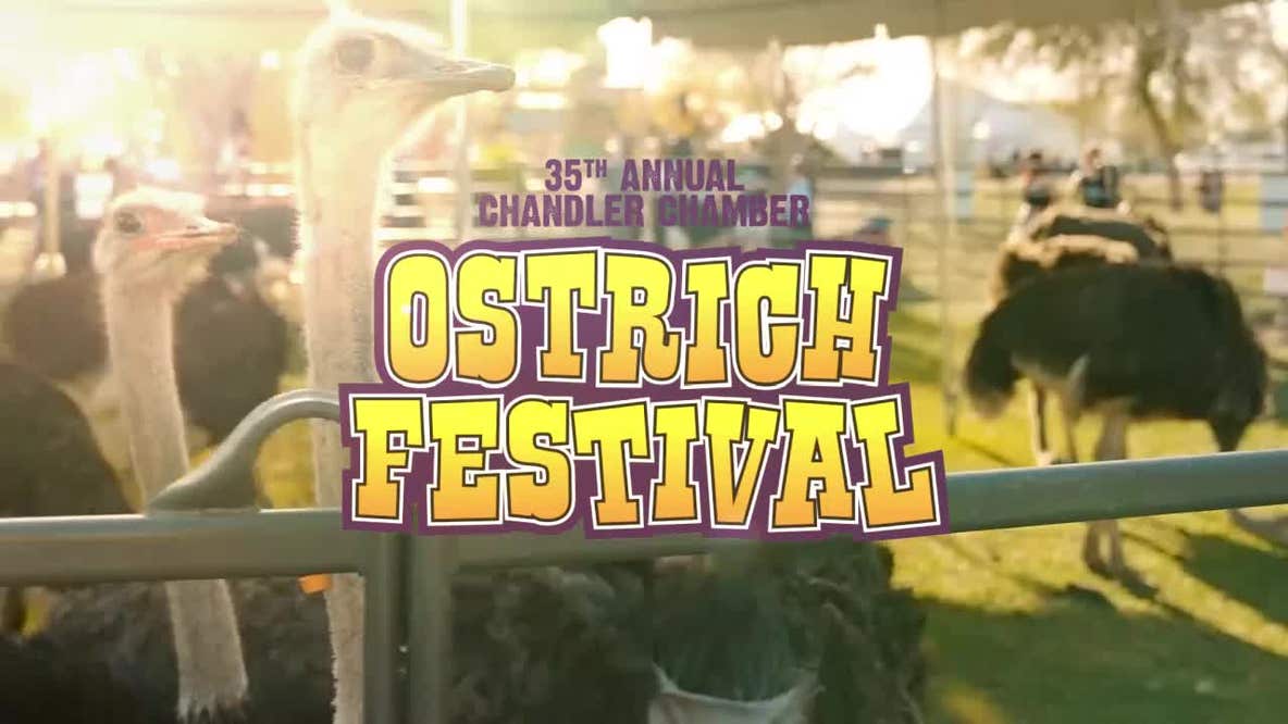 2025 Chandler Ostrich Festival